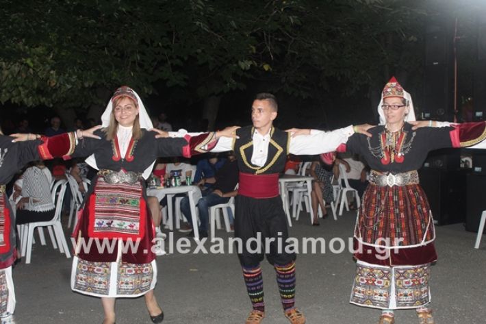 alexandriamou.gr_brusakipanigiri2019202