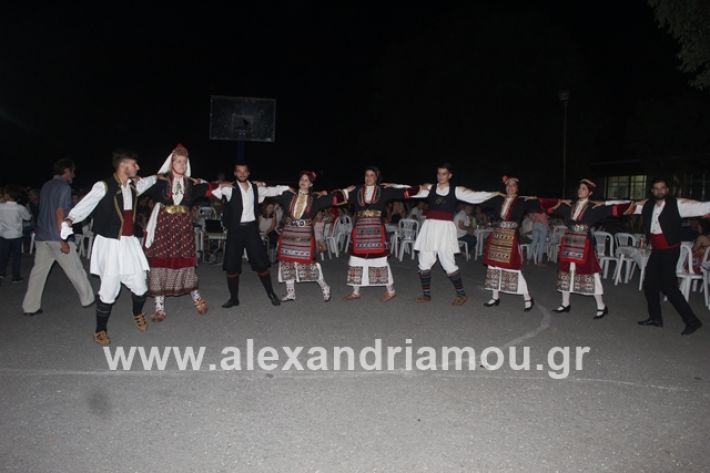 alexandriamou.gr_brusakipanigiri2019203