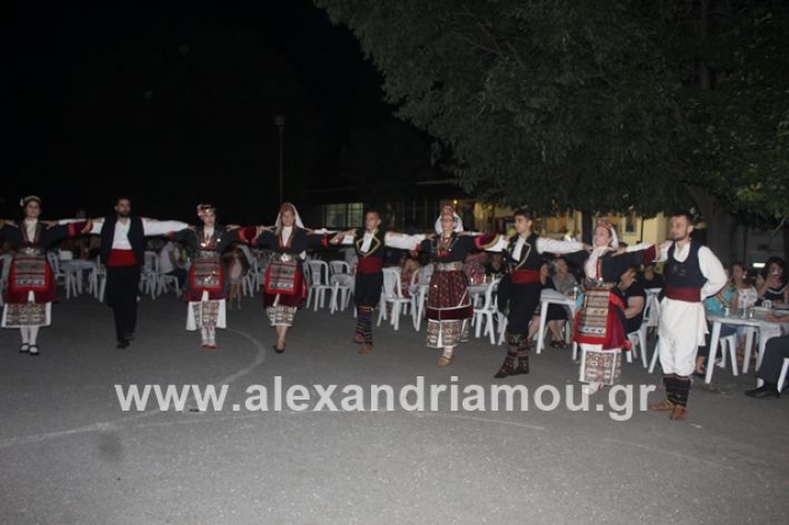 alexandriamou.gr_brusakipanigiri2019204