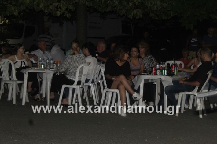 alexandriamou.gr_brusakipanigiri2019209