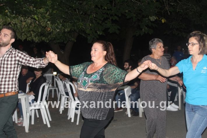 alexandriamou.gr_brusakipanigiri2019238