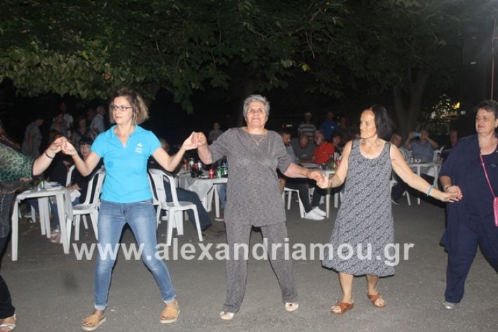 alexandriamou.gr_brusakipanigiri2019239