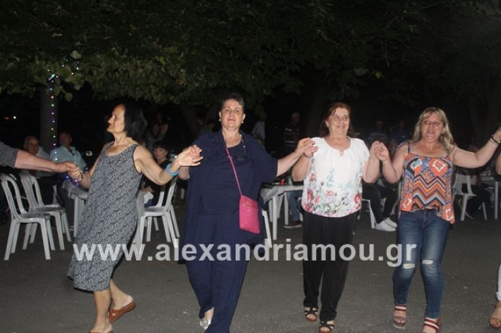 alexandriamou.gr_brusakipanigiri2019240