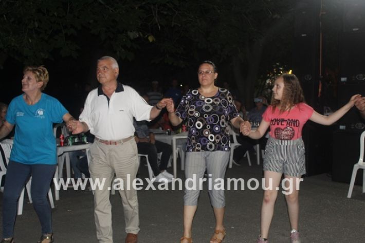 alexandriamou.gr_brusakipanigiri2019244