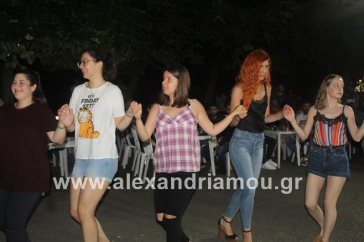 alexandriamou.gr_brusakipanigiri2019249