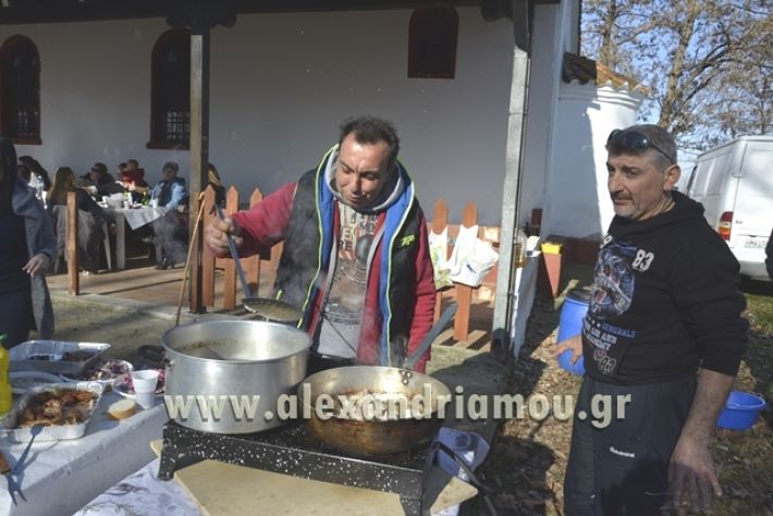 gourounoxara_pareas2018_026