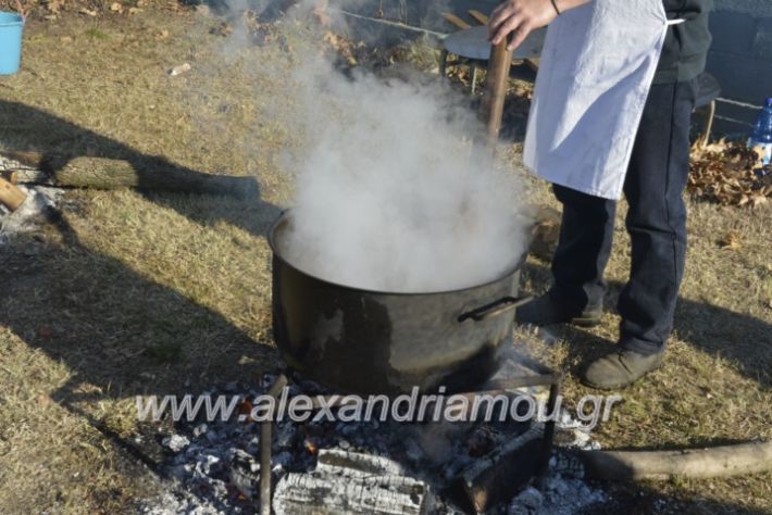 alexandriamou.gr_palioxorigourounoxara2018010