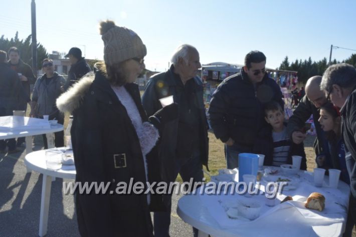 alexandriamou.gr_palioxorigourounoxara2018044