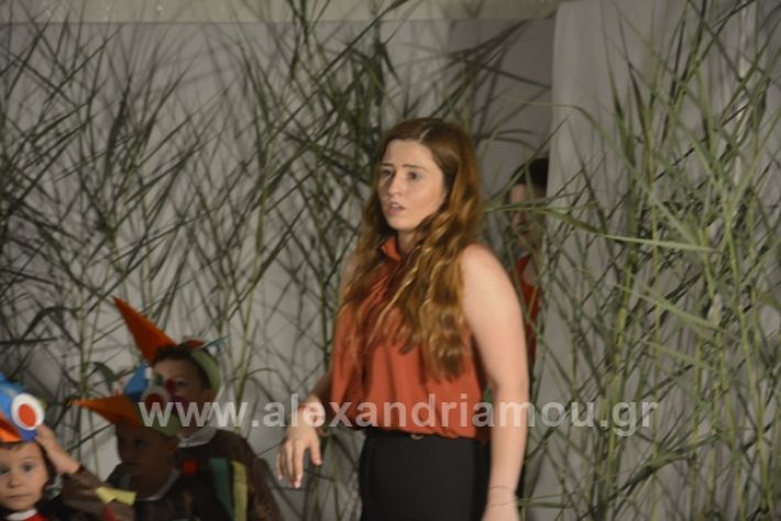 alexandriamou.gr_iouliasxoleio_DSC2274
