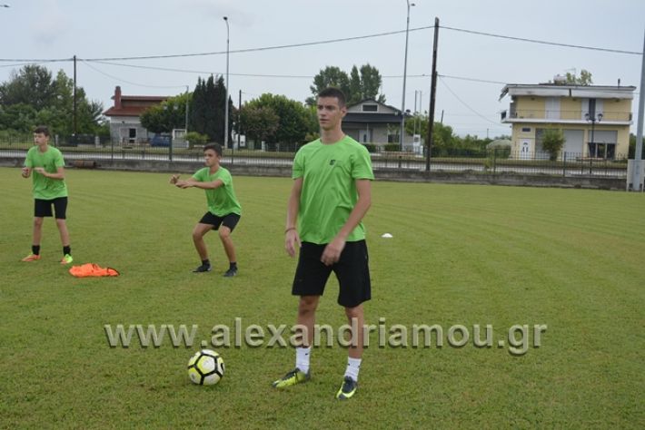 alexandriamou.gr_aekkampoxori037