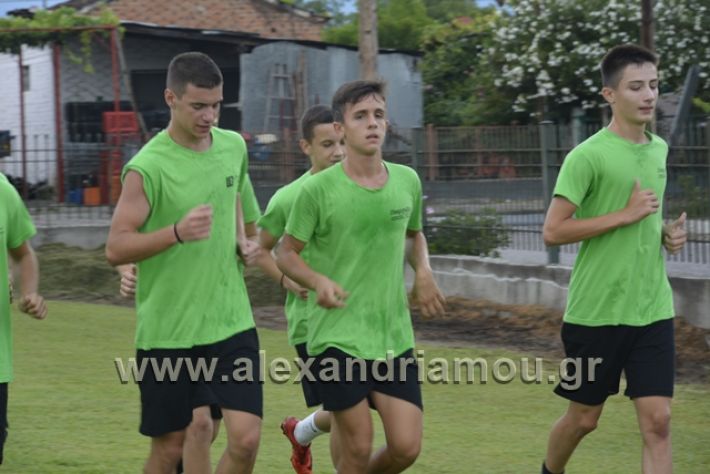 alexandriamou.gr_aekkampoxori066