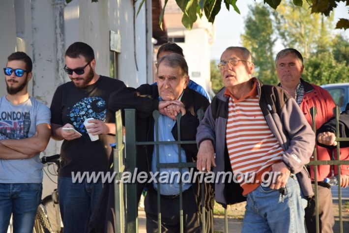 alexandriamou.gr_kampoxori13.101.7019