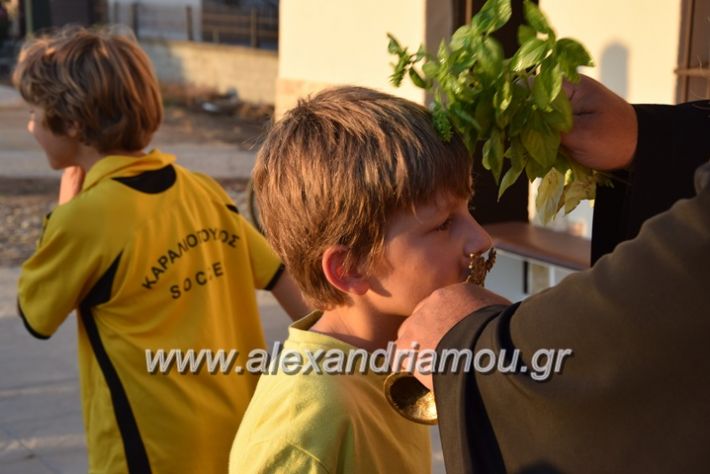 alexandriamou.gr_kampoxori13.101.7080