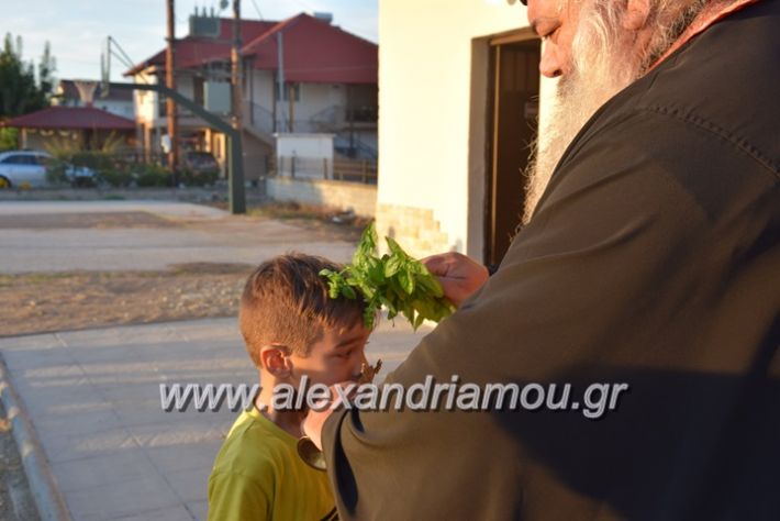 alexandriamou.gr_kampoxori13.101.7085