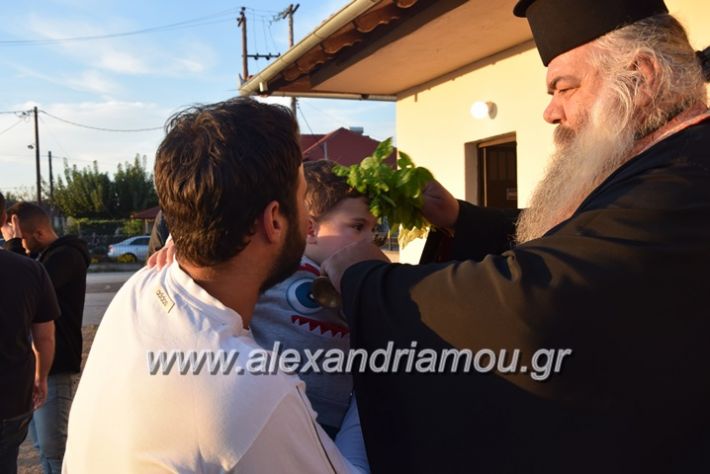 alexandriamou.gr_kampoxori13.101.7100