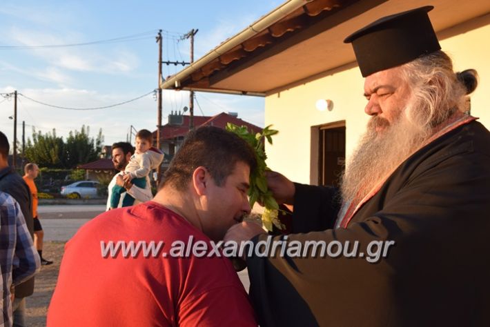 alexandriamou.gr_kampoxori13.101.7109