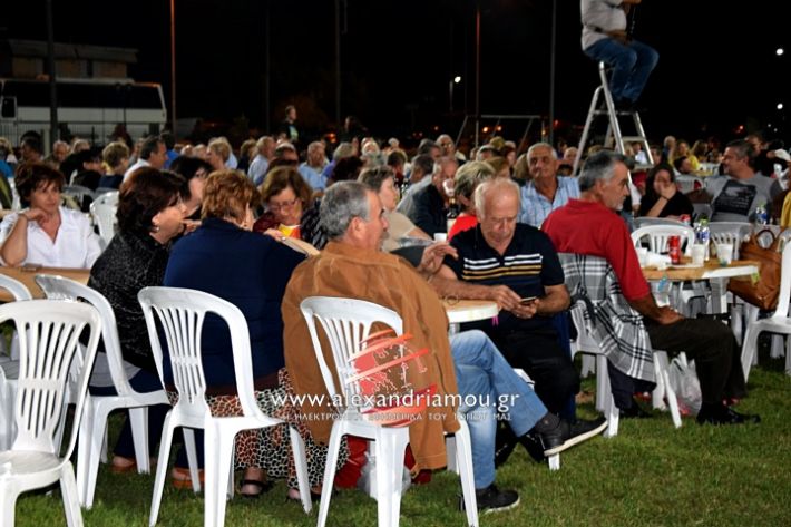 alexandriamou.gr_kampoxori2019DSC_0207