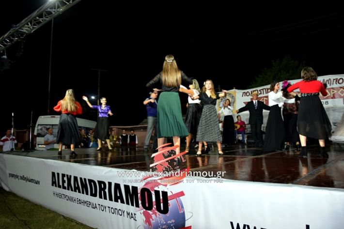 alexandriamou.gr_kampoxori2019DSC_0302