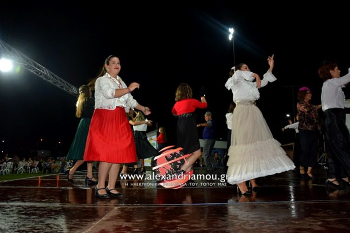 alexandriamou.gr_kampoxori2019DSC_0313