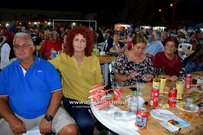 alexandriamou.gr_kampoxori2019DSC_0334