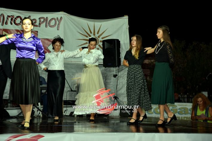 alexandriamou.gr_kampoxori2019DSC_0339