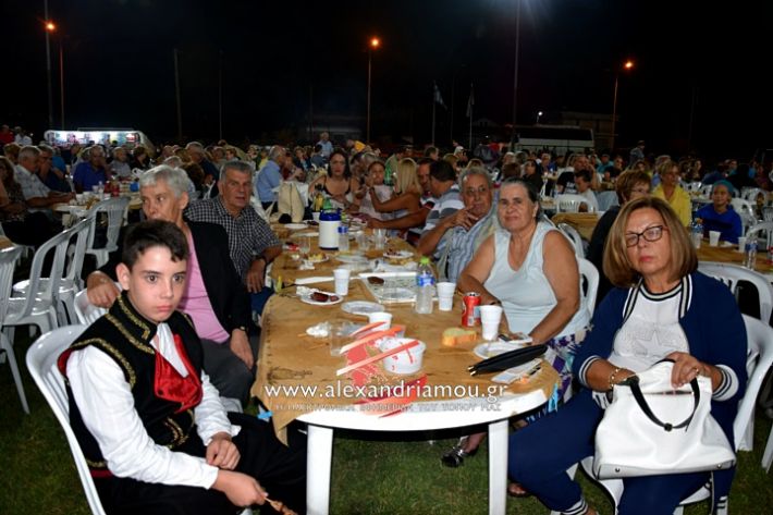 alexandriamou.gr_kampoxori2019DSC_0341