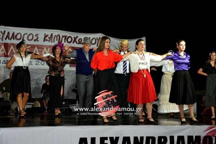 alexandriamou.gr_kampoxori2019DSC_0343