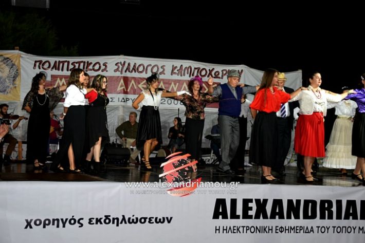 alexandriamou.gr_kampoxori2019DSC_0344