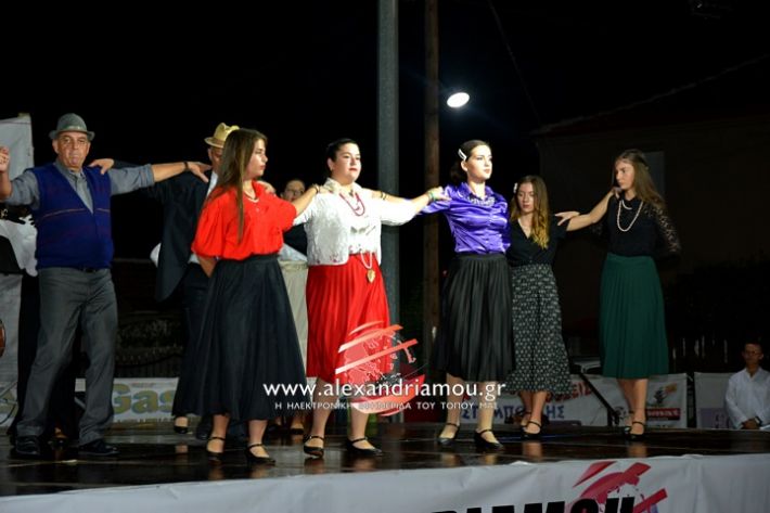 alexandriamou.gr_kampoxori2019DSC_0347