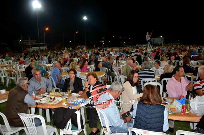 alexandriamou.gr_kampoxori2019DSC_0390