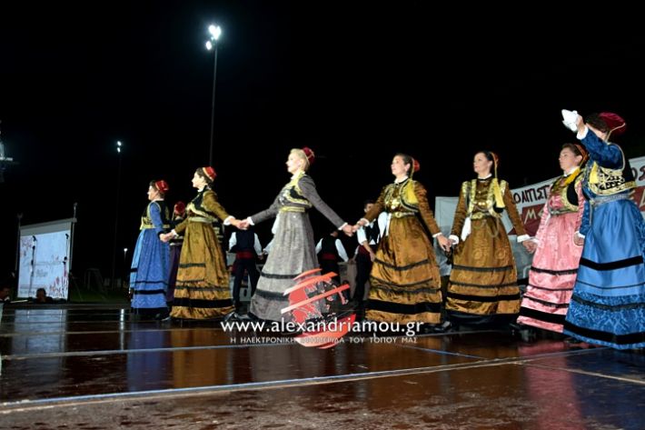 alexandriamou.gr_kampoxori2019DSC_0407