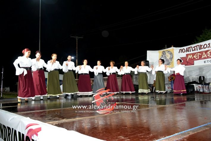 alexandriamou.gr_kampoxori2019DSC_0409