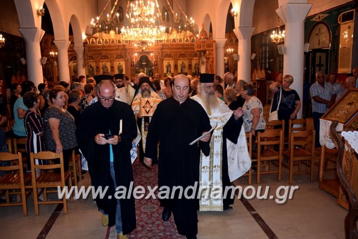 alexandriamou.gr_kampoxori19DSC_0320