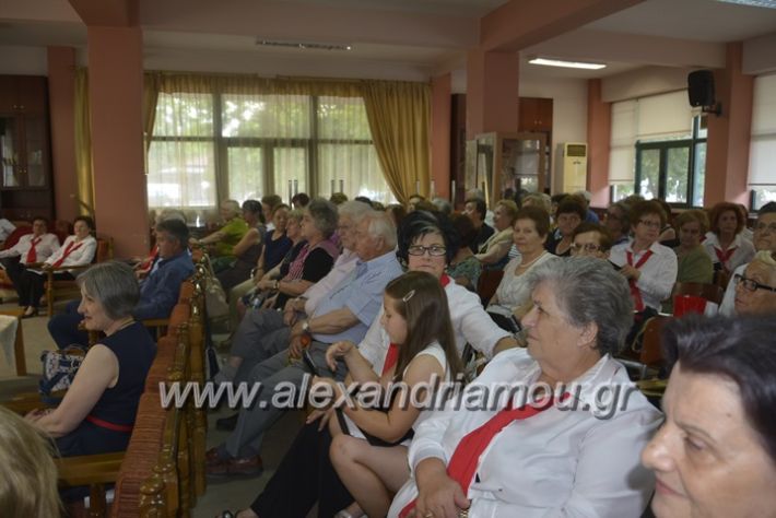 alexandriamou.gr_kapi6.6.2018019