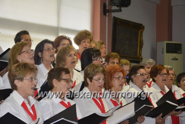 alexandriamou.gr_kapi6.6.2018037