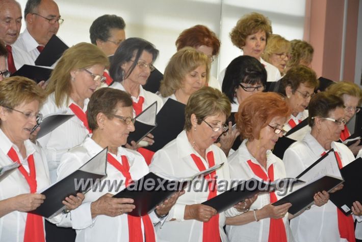 alexandriamou.gr_kapi6.6.2018051