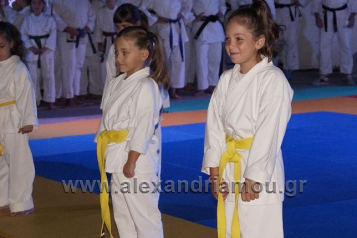 alexandriamou.gr_karate288005