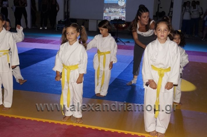 alexandriamou.gr_karate288007