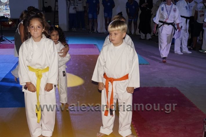 alexandriamou.gr_karate288008