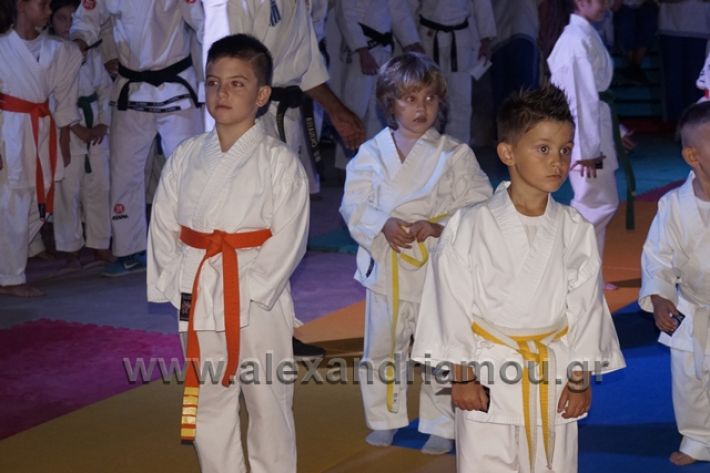 alexandriamou.gr_karate288009