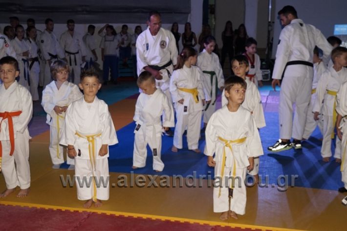 alexandriamou.gr_karate288010