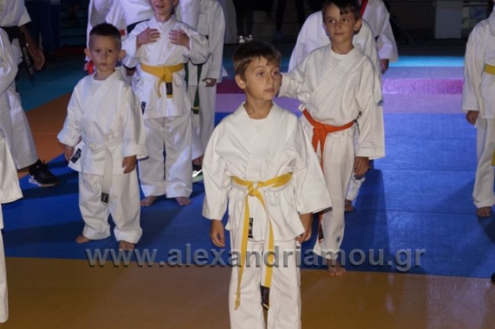 alexandriamou.gr_karate288011