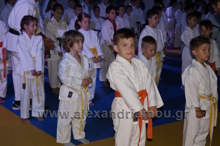 alexandriamou.gr_karate288013