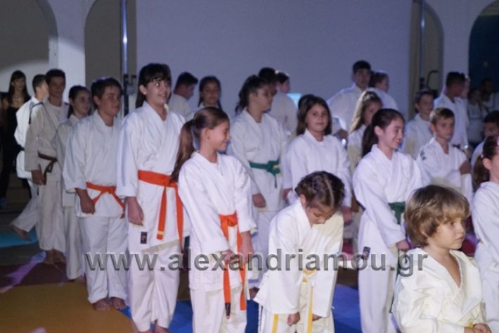 alexandriamou.gr_karate288014