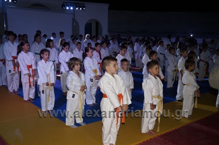 alexandriamou.gr_karate288015