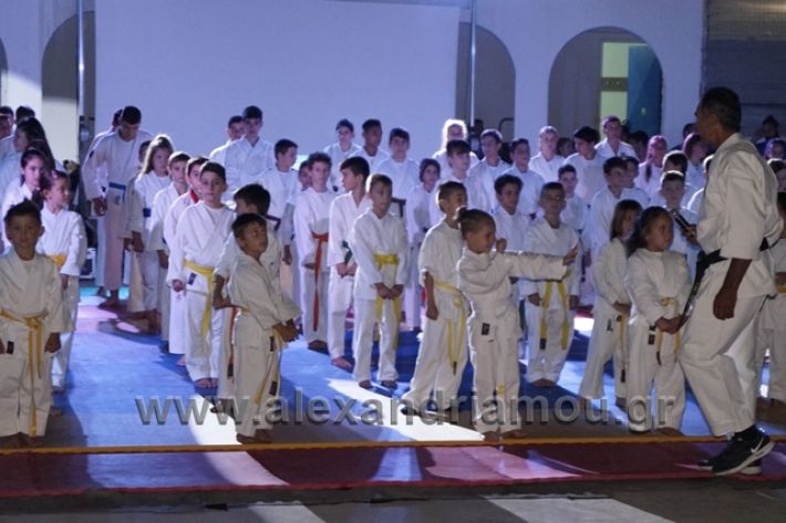 alexandriamou.gr_karate288018