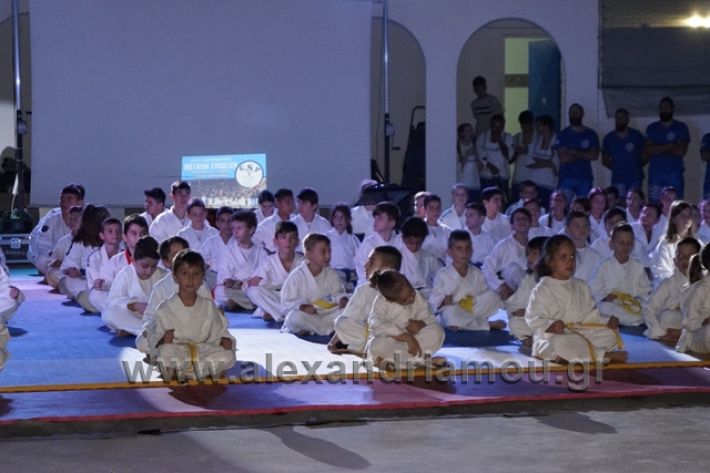 alexandriamou.gr_karate288022