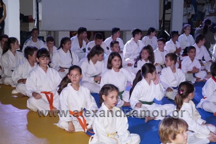 alexandriamou.gr_karate288029