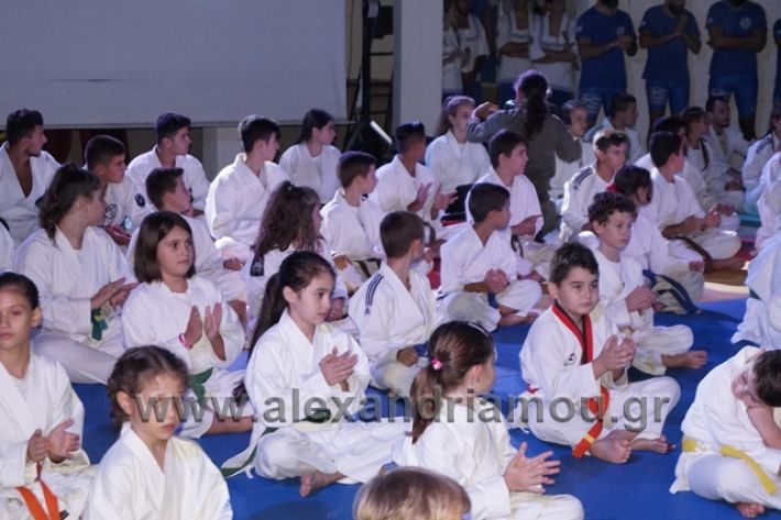 alexandriamou.gr_karate288030