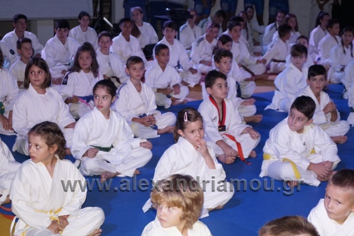 alexandriamou.gr_karate288032